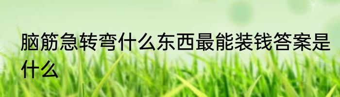 脑筋急转弯什么东西最能装钱答案是什么