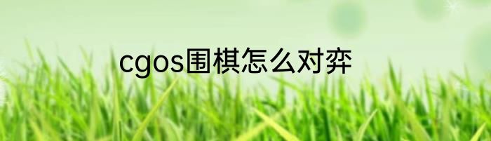 cgos围棋怎么对弈