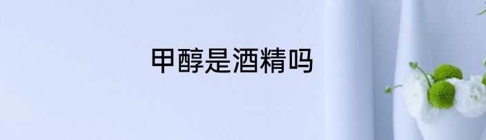 甲醇是酒精吗