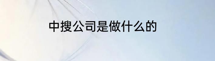 中搜公司是做什么的
