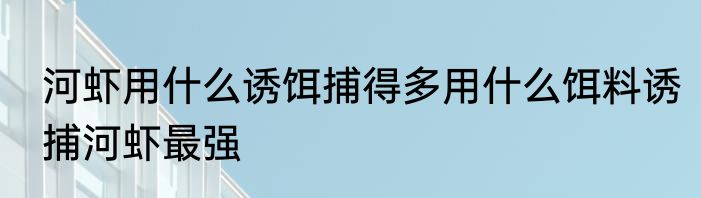 河虾用什么诱饵捕得多用什么饵料诱捕河虾最强