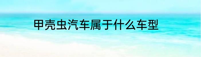 甲壳虫汽车属于什么车型