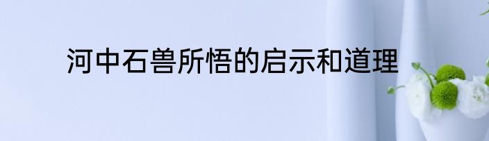 河中石兽所悟的启示和道理