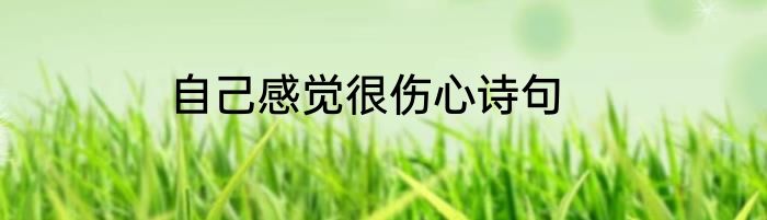 自己感觉很伤心诗句