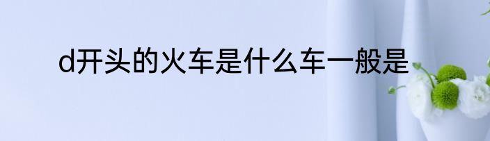 d开头的火车是什么车一般是