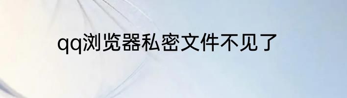 qq浏览器私密文件不见了