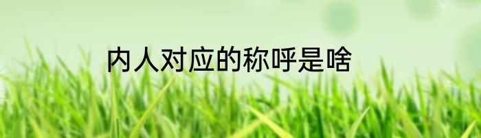 内人对应的称呼是啥