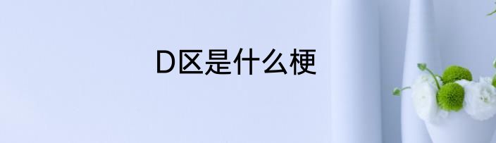 D区是什么梗