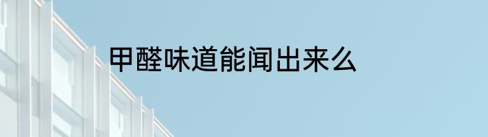 甲醛味道能闻出来么