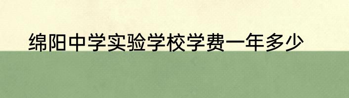绵阳中学实验学校学费一年多少