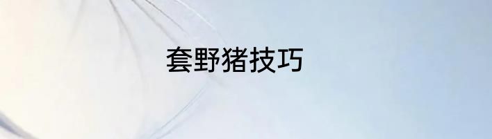 套野猪技巧
