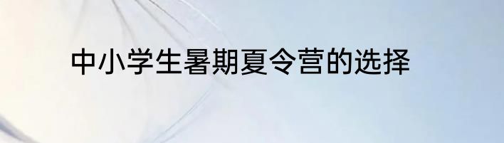 中小学生暑期夏令营的选择