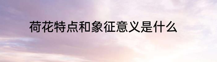 荷花特点和象征意义是什么