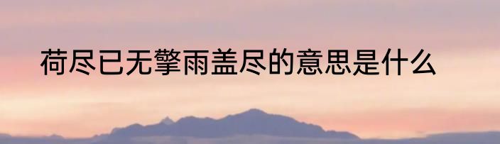 荷尽已无擎雨盖尽的意思是什么