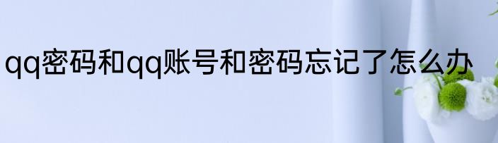 qq密码和qq账号和密码忘记了怎么办