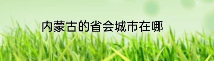 内蒙古的省会城市在哪