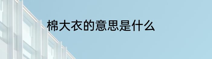 棉大衣的意思是什么