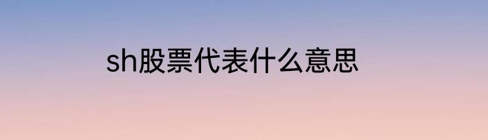 sh股票代表什么意思