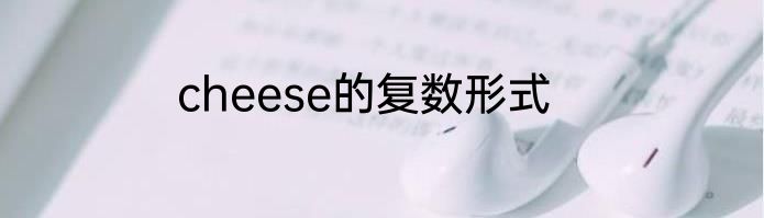 cheese的复数形式