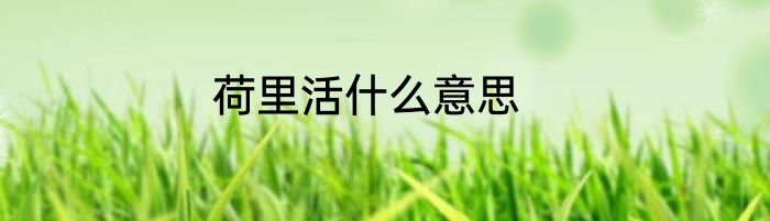 荷里活什么意思