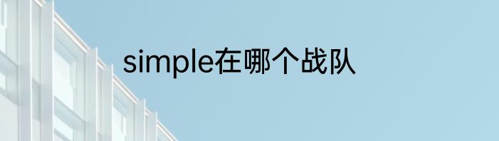 simple在哪个战队