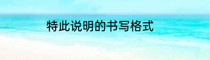 特此说明的书写格式