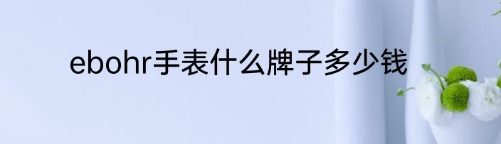 ebohr手表什么牌子多少钱