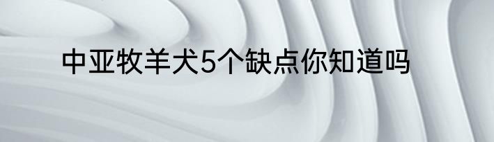 中亚牧羊犬5个缺点你知道吗