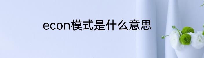 econ模式是什么意思