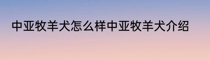 中亚牧羊犬怎么样中亚牧羊犬介绍