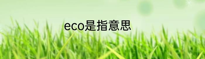 eco是指意思
