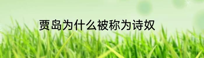 贾岛为什么被称为诗奴