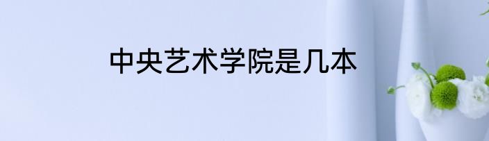 中央艺术学院是几本
