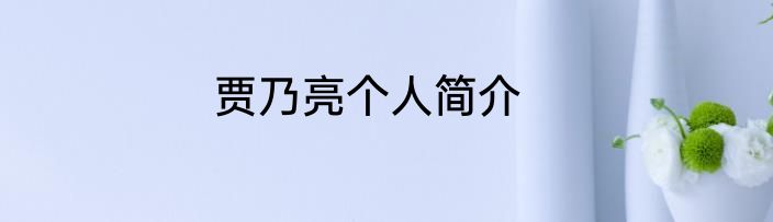贾乃亮个人简介