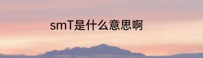 smT是什么意思啊