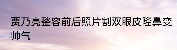 贾乃亮整容前后照片割双眼皮隆鼻变帅气