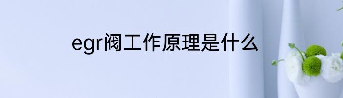 egr阀工作原理是什么
