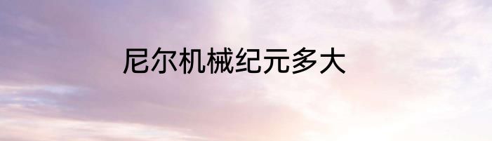 尼尔机械纪元多大