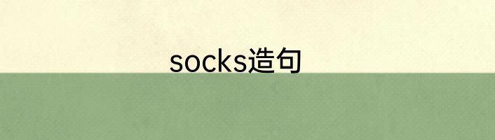 socks造句