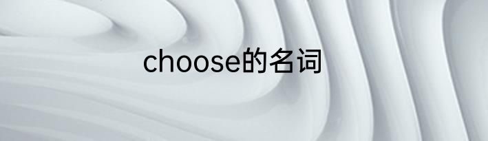 choose的名词