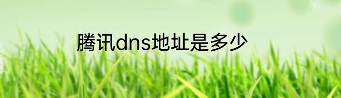 腾讯dns地址是多少