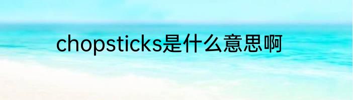 chopsticks是什么意思啊