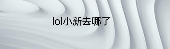 lol小新去哪了