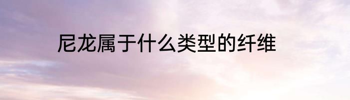 尼龙属于什么类型的纤维