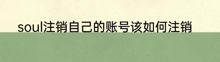 soul注销自己的账号该如何注销