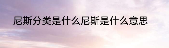 尼斯分类是什么尼斯是什么意思