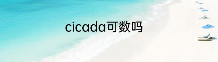 cicada可数吗