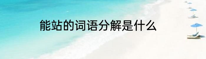 能站的词语分解是什么