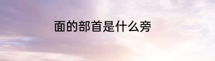 面的部首是什么旁