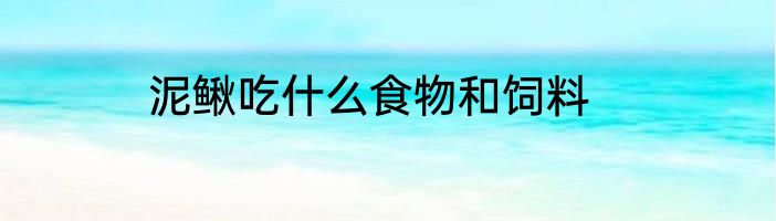泥鳅吃什么食物和饲料